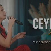 Ceylan Köse