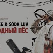 Seemee Soda Luv