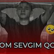 Salom Sevgim Qotili