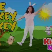 Hokey Pokey Song