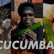 Cucumba Rap