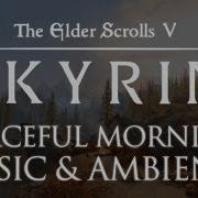 The Elder Scrolls Skyrim Music Ambience Sleep Relaxation And Focus