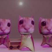 Бумажные Коты Танцуют Под Фонк 1 Час