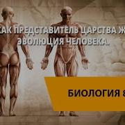 Биология 9 Класс Пономарева 43 Параграф