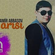 Samir Abbasov Bal Arısı