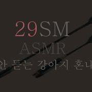 앨단Asmr