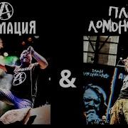 План Ломоносова И Анимация