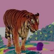 Tiger In The Jungle Storybots