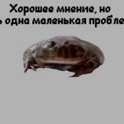 Хорошее Мнение Но Есть Одна Маленькая Проблема Клип