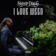 Snoop Dogg I Love Weed