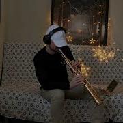 Пресняков Замок Из Дождя Instrumental Cover Sax Ladynsax