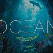 Ocean Beautiful Atmospheric Orchestral Music Mix Epic Ambient Fantasy Music