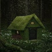 Shadow Woods