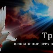 Проповедь На Праздник Троицы Самарин Д