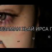 Дог Дохош Хадича