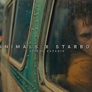 Starboy X Animals