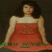 Şenay Şenses 2 Saat