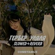 Гербер Уляля Slowed Гербер Уляля Slowed Reverb