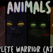 Коты Воители На Русском Animals