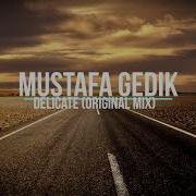 Mustafa Gedik Delicate