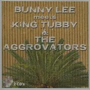 The Aggrovators I Bust It In The Name Of Jah Version