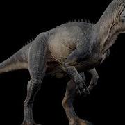 Allosaurus Jwe Sound