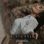 Hamidshax Black Rose