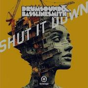 Shut It Down Drumsound Bassline Smith