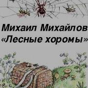 Лесные Хоромы Михайлов