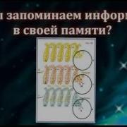 Сущность И Разум Том 1