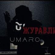 Далеко Далеко Птицы Улетели