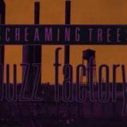 Screaming Trees Flower Web