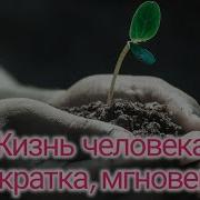 Жизнь Человека Так Кратка Мгновенна