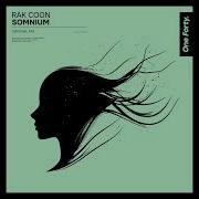 Rak Coon Somnium Original Mix