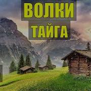 Ведьма Предсказала Отшельнику Серия5