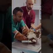 Ай Как Больно Мем