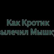 Как Кротик Вылечил Мышку