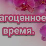 На Этой Земле Я Лишь Прохожий