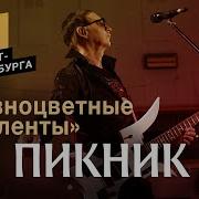 Пикник Косы Заплести