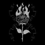 White Thorns Black Rose