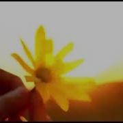 Слова Имама Аш Шафи И О Самых Тяжелых Делах