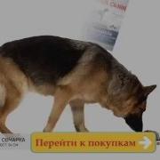 Корм Для Собак Реклама