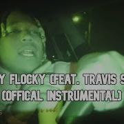 Don Toluver Flocky Flocky Instrumental