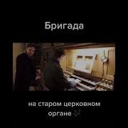 Бригада На Органе