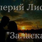 Валерий Лисин Заласкаю