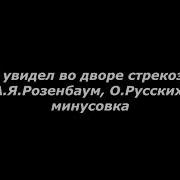 Я Увидел Во Дворе Стрекозу А Я Розенбаум Кавер Минус