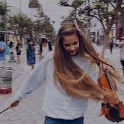 Violin Firework Cover