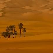 Desert Landscape