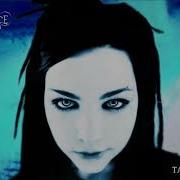 Evanescence Taking Over Me