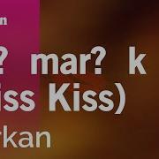 Tarkan Karaoke